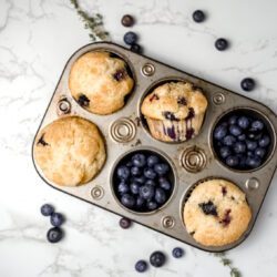 quick small batch blueberry muffin