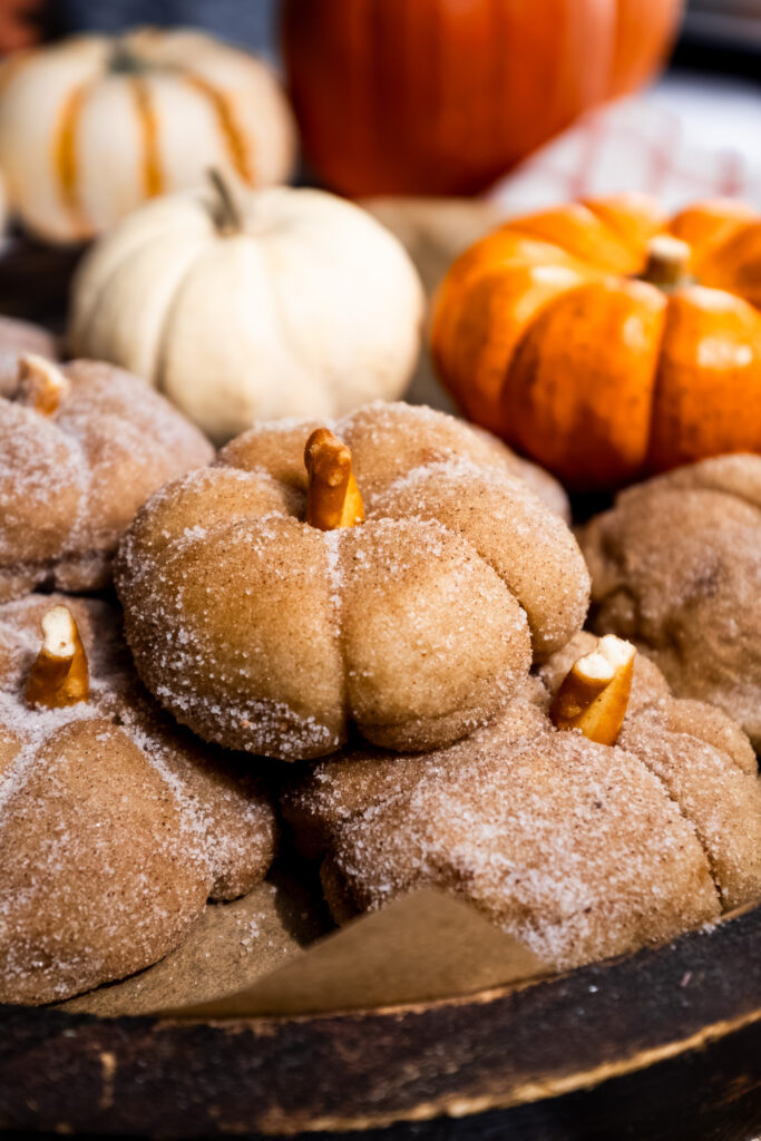 This image has an empty alt attribute; its file name is Pumpkin-Snickerdoodle-3-683x1024.jpg