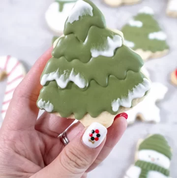 sugar cut out cookie