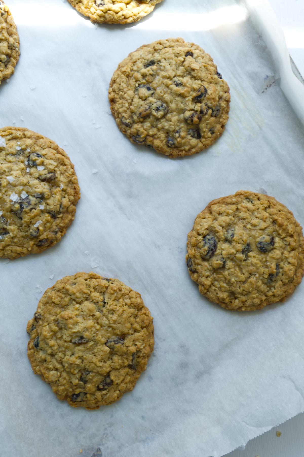 Oatmeal raisin cookies baked in tray 