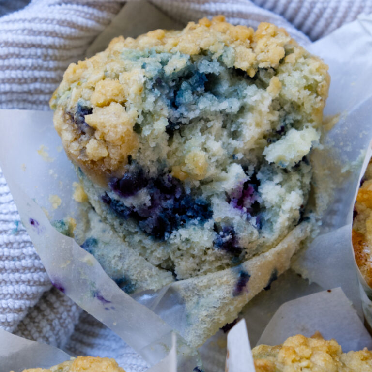 blueberry muffin image 1200 x 1200