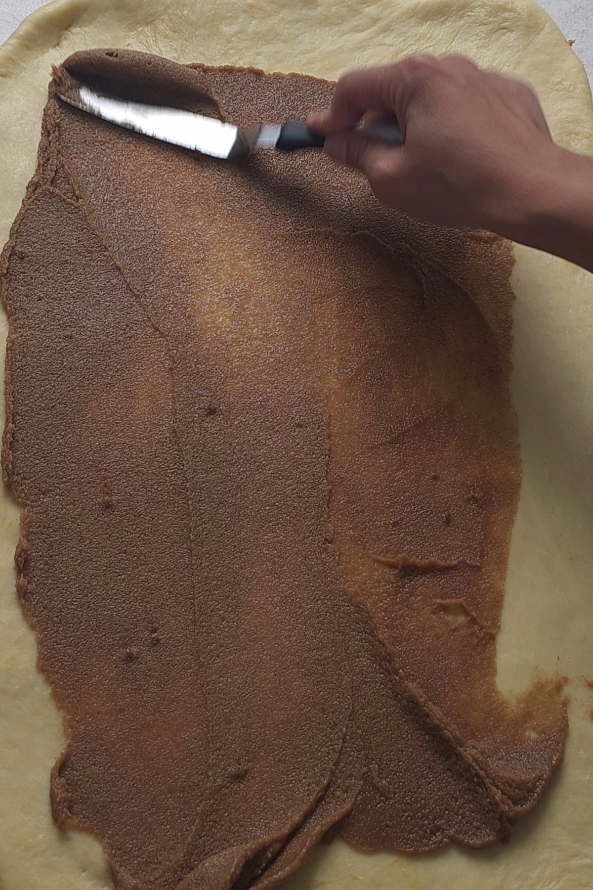spread cinnamon over