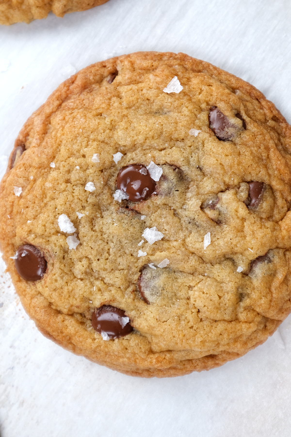baked sourdough chocolate chip cookies with sea salt flakes