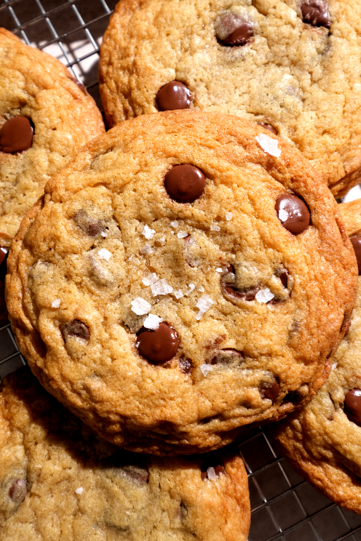 sourdough chocolate chip cookies