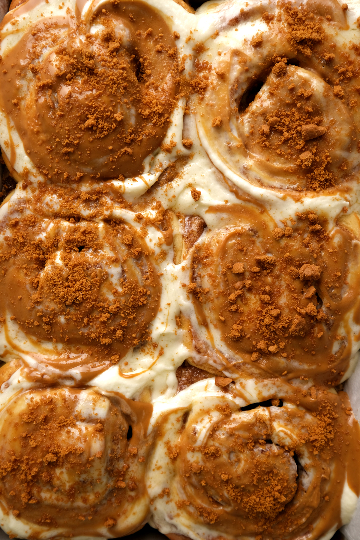 biscoff cinnamon rolls, in pan frosted ready to eat