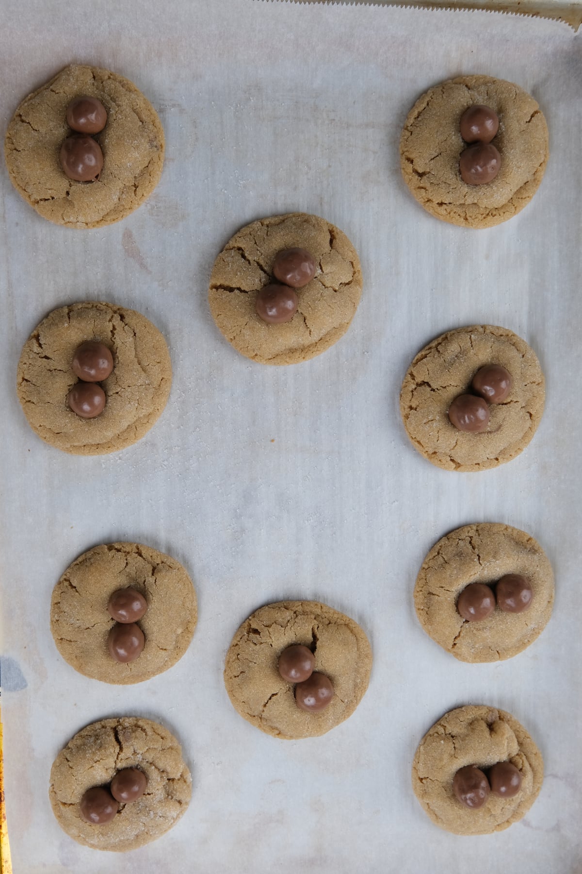 Chocolate balls are pressed into peanut butter cookie