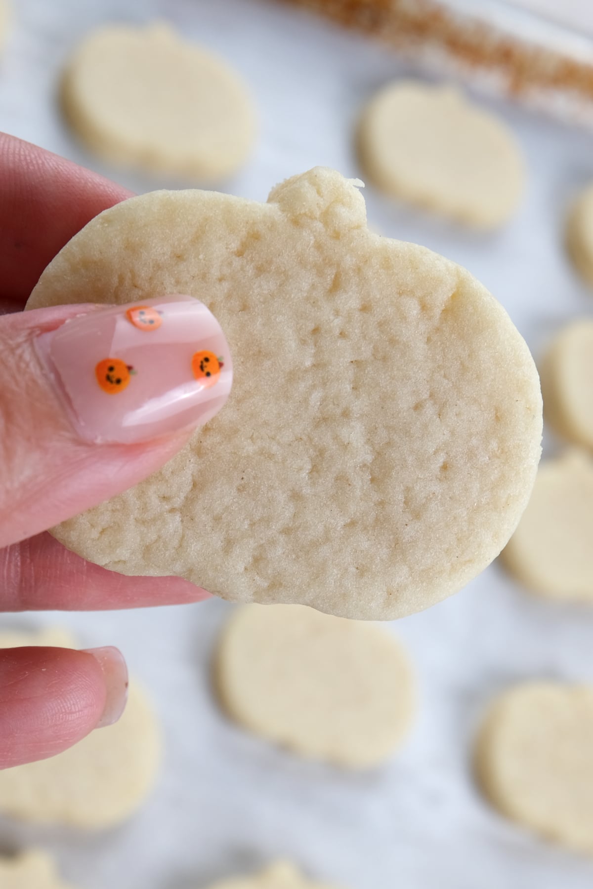 closer image of hands holding cookie