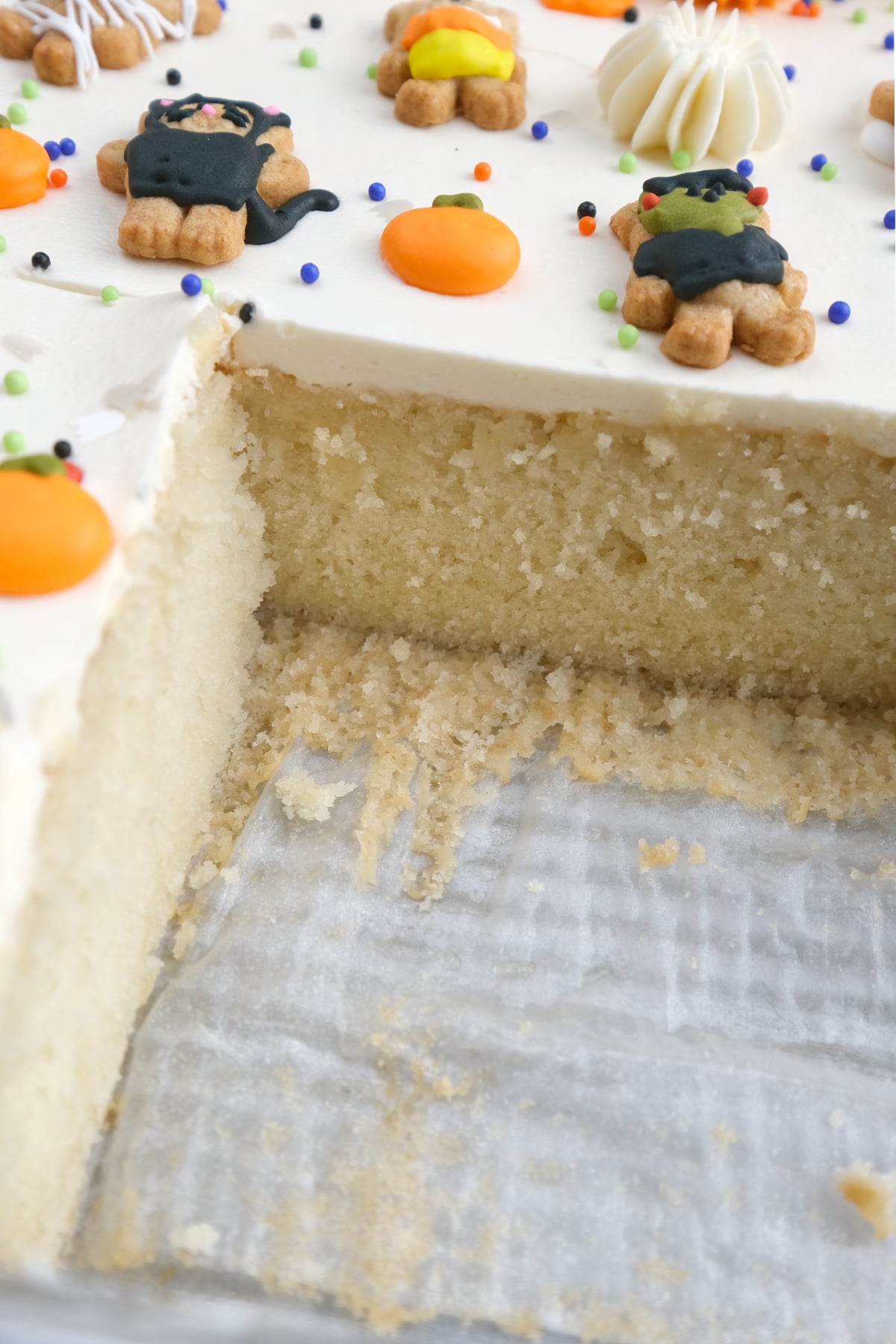 the inside cut of the vanilla sheet cake