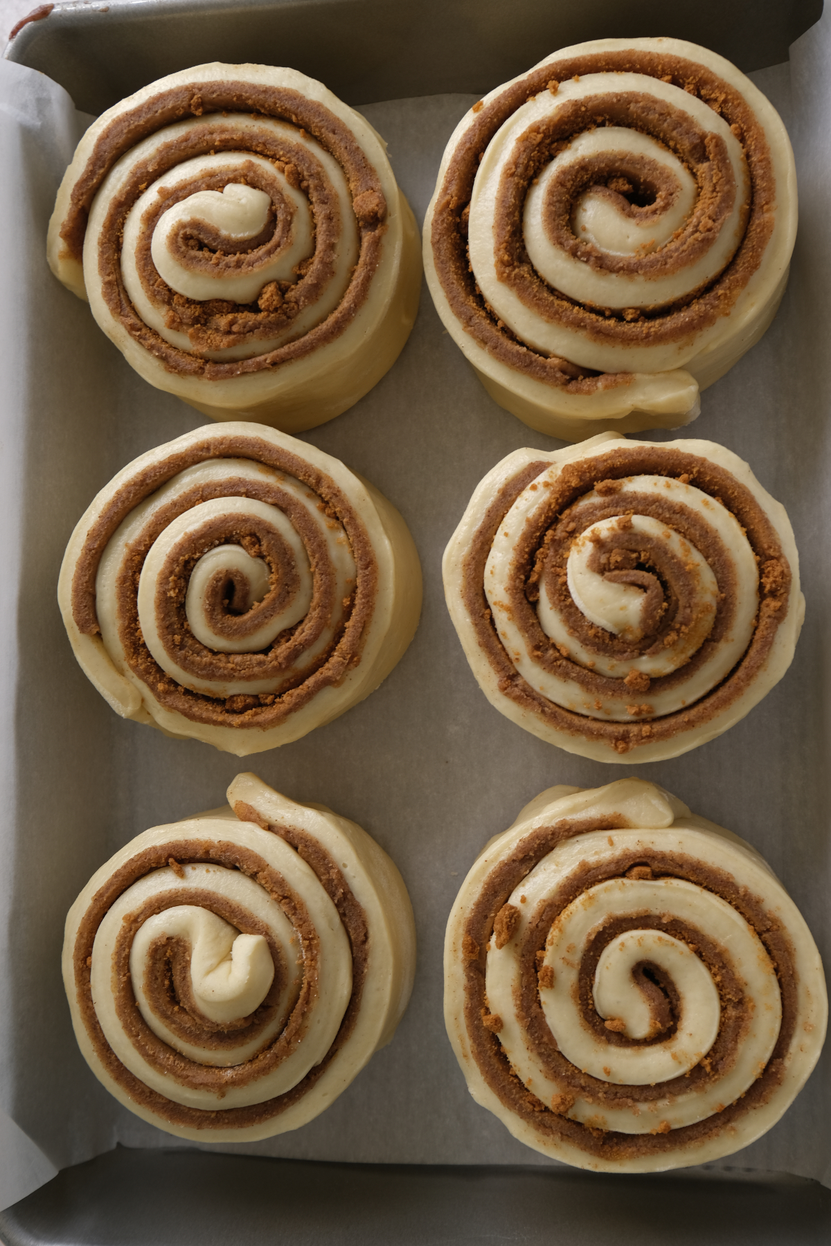 roll up the bsicoff cinnamon rolls and let rise in pan